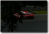 CALDER13.JPG