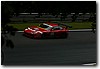 CALDER14.JPG