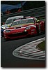 CALDER35.JPG