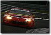 CALDER40.JPG