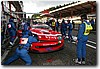 PICCI125.JPG