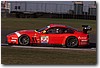 CAL10.JPG