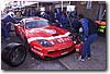 PICCI40.JPG
