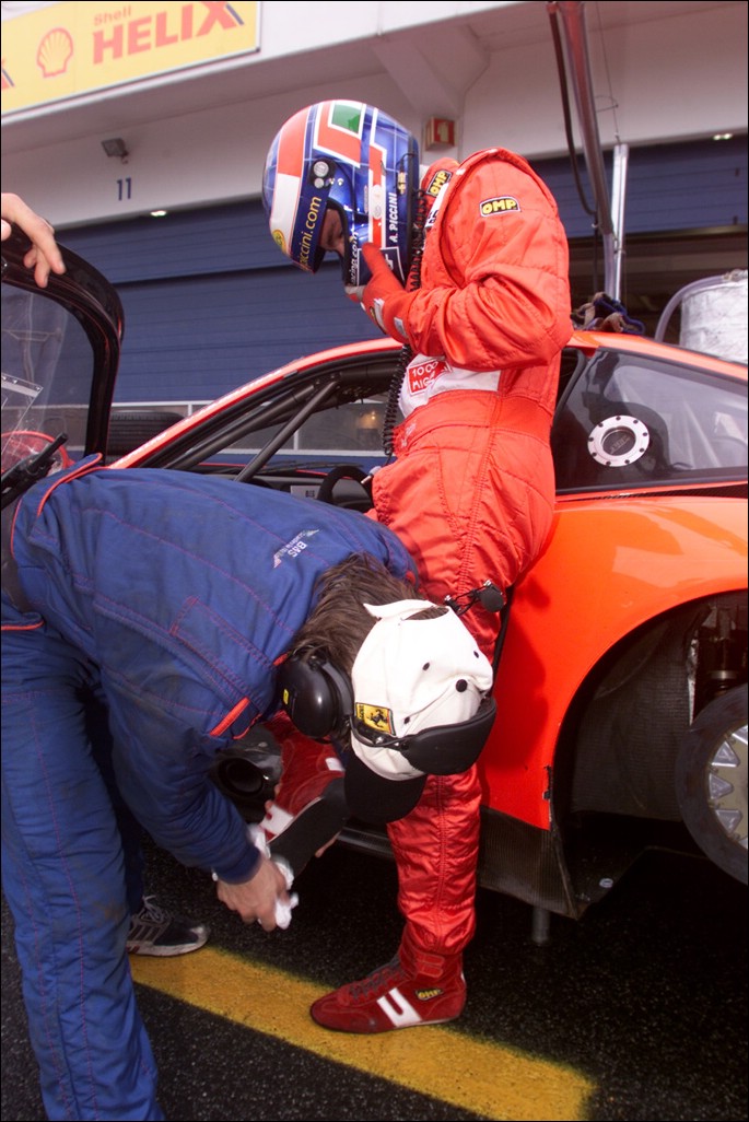 PICCI81.JPG