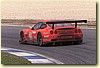PICCI10.JPG
