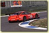 PICCI11.JPG