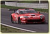 PICCI12.JPG