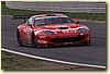 PICCI13.JPG