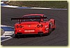 PICCI17.JPG
