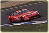 PICCI23.JPG