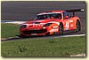 PICCI51.JPG