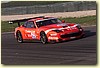 PICCI62.JPG