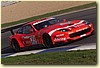 PICCI65.JPG