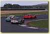 PICCI75.JPG