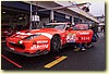 PICCI80.JPG