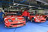 IMG_0553.JPG
