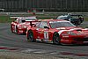 IMG_0796.JPG