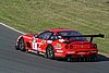 IMG_5125.JPG