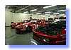 IMG_4831.JPG
